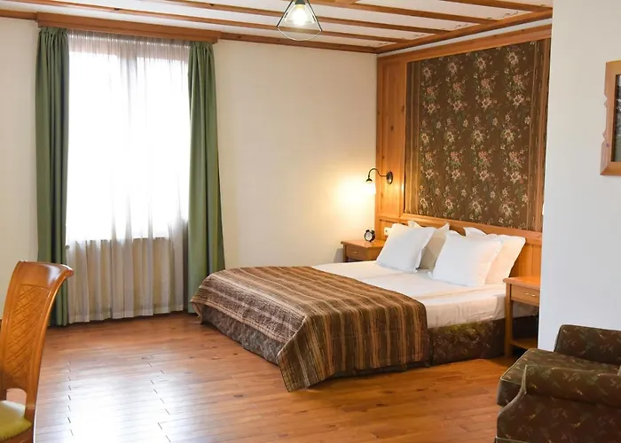 вила калина 3*