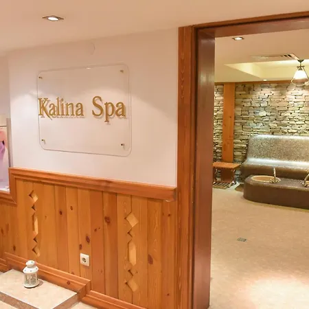 Guest house Kalina 3*